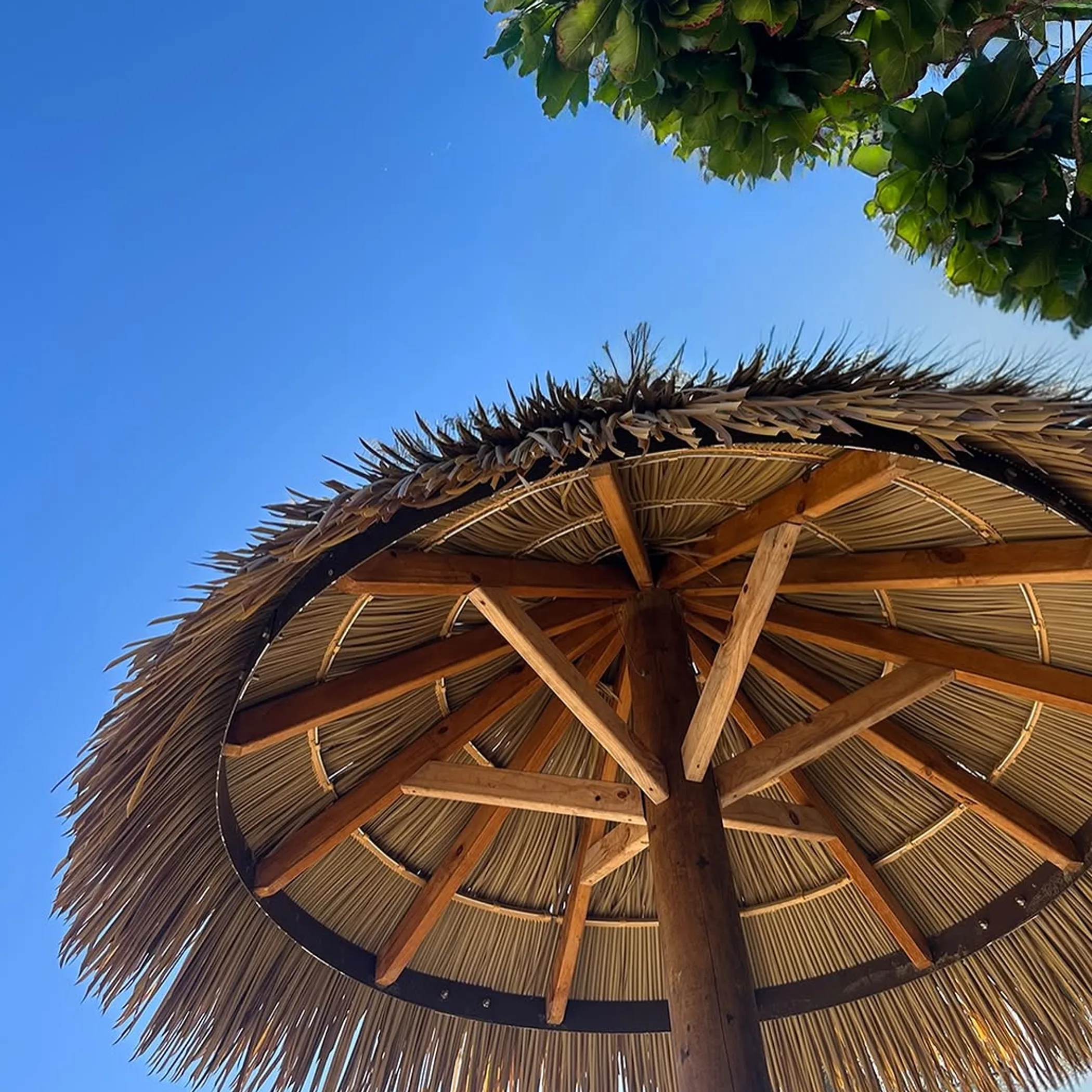 sunny queensland island escape