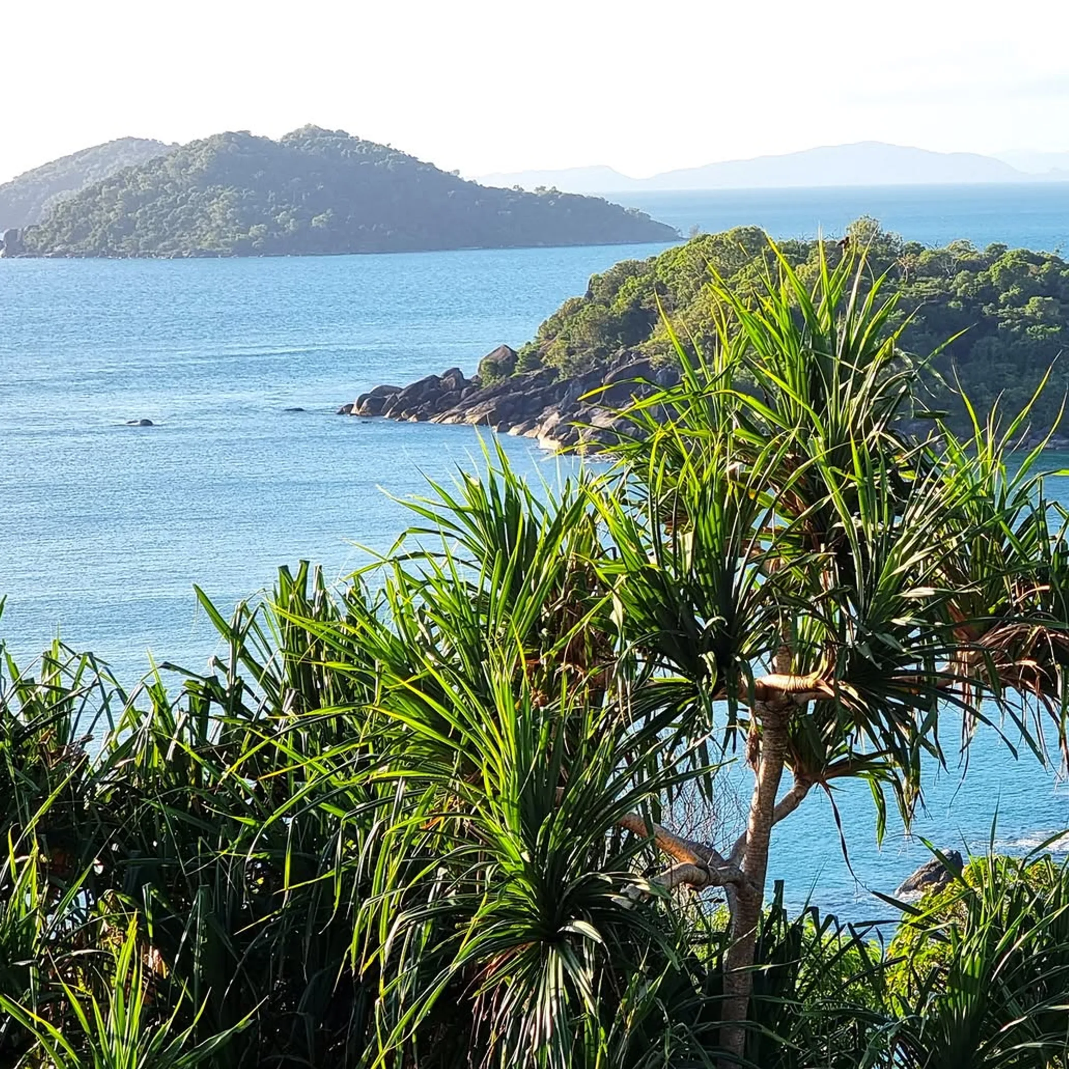 lush tropical island escape