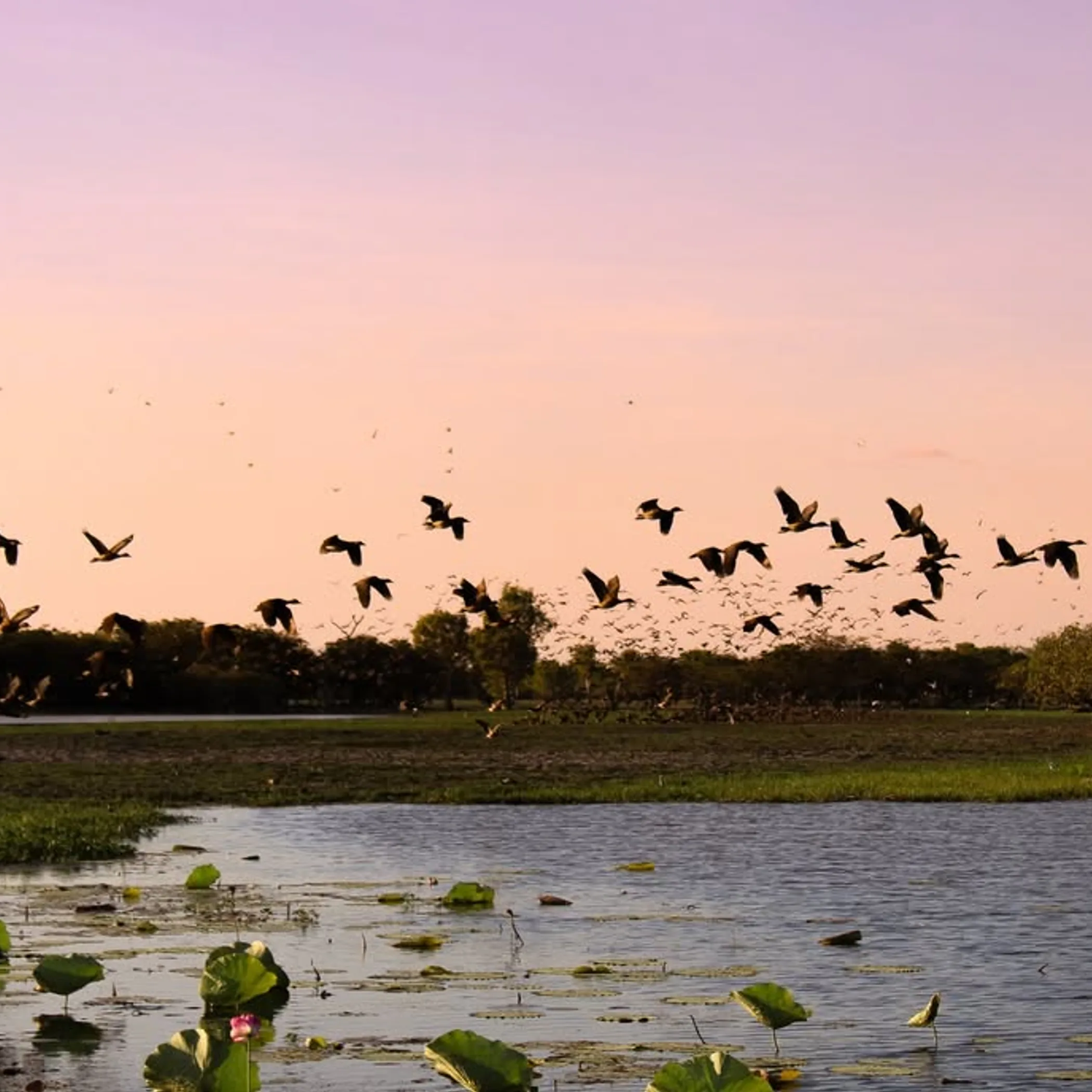 kakadu national park landscape