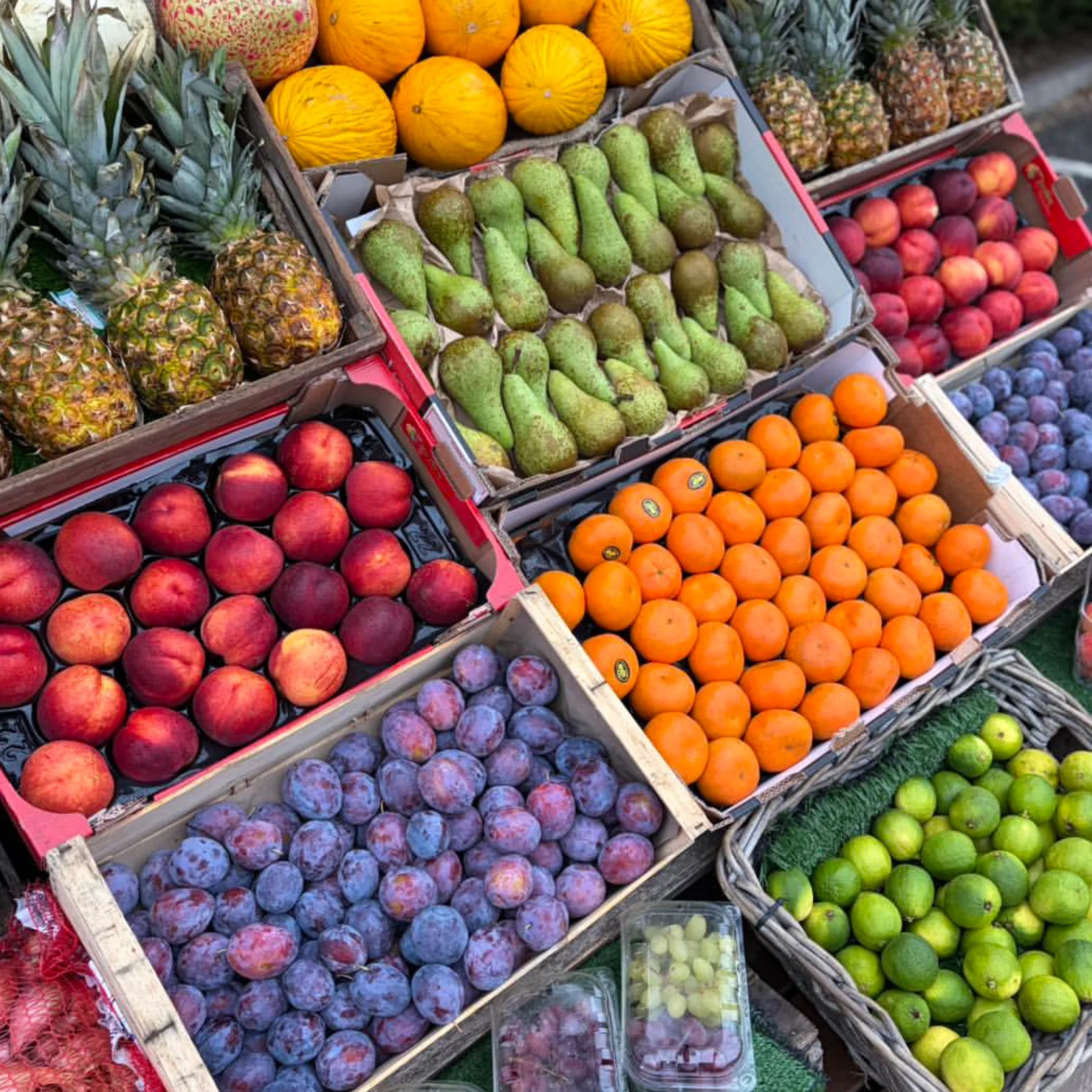 abundant seasonal produce